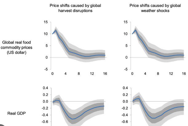 Global Food Prices Rise Again as Extreme Weather Disrupts Harvests